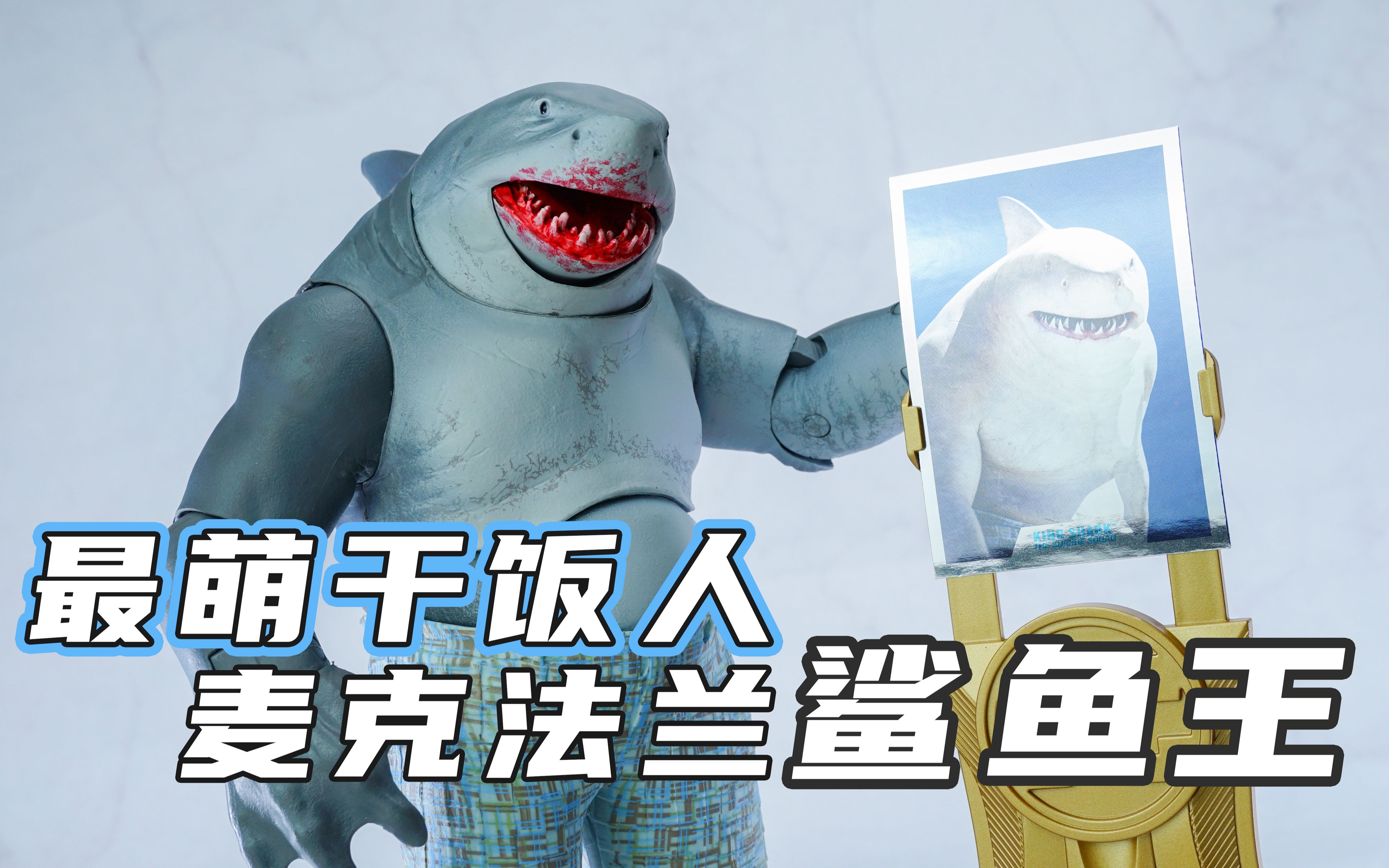 最萌干饭人 麦克法兰 dc自杀小队2金标鲨鱼王