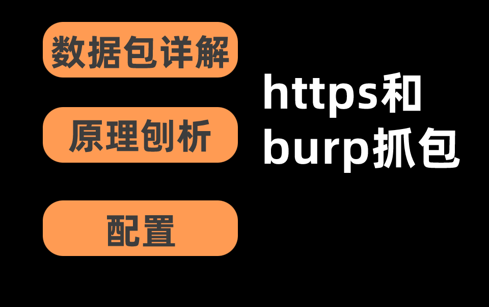 网络安全https和burp抓包教程!存下吧!血赚!