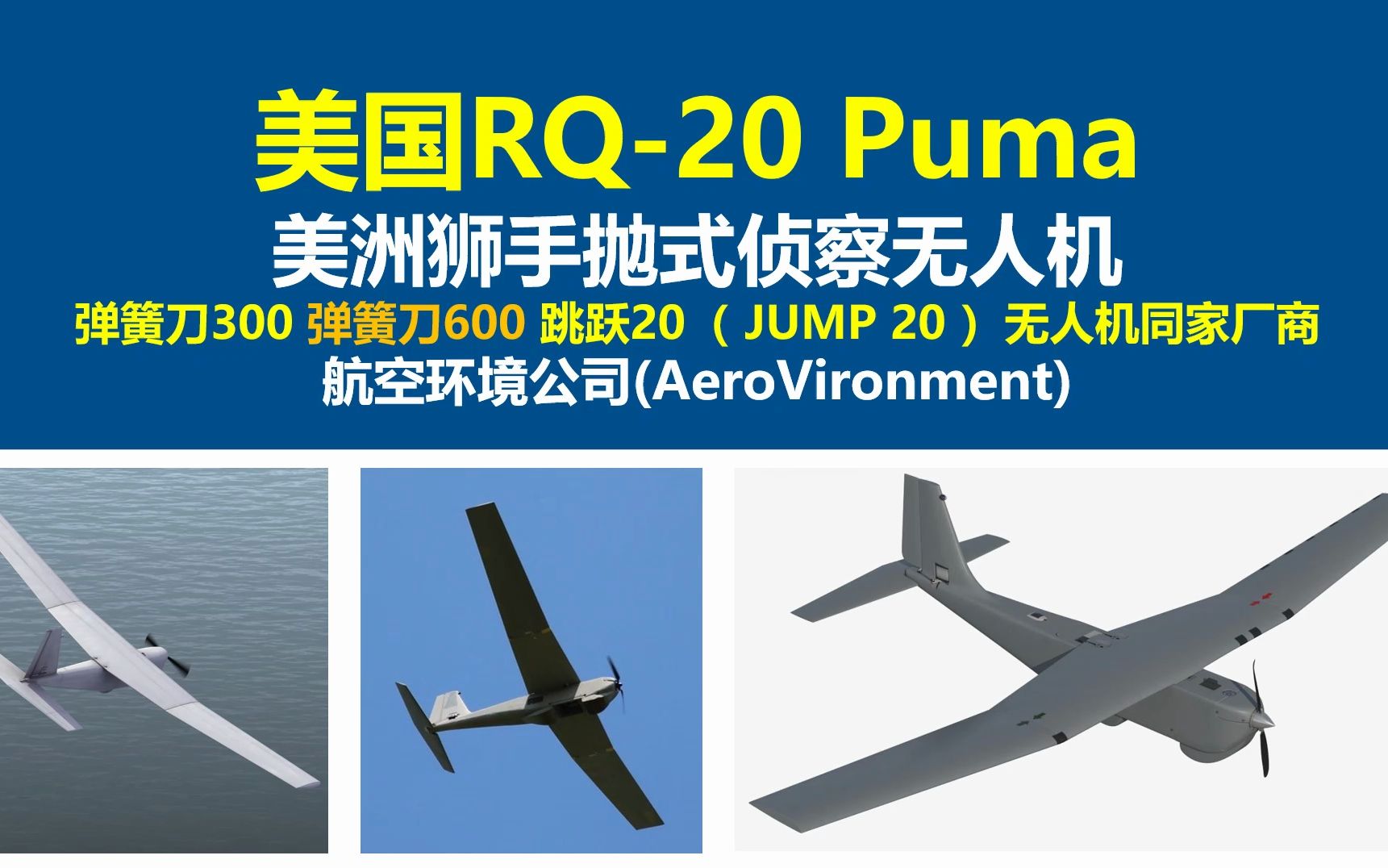 美国rq-20无人机,美国rq-20美洲狮手抛式侦察无人机,美国rq-20 puma无