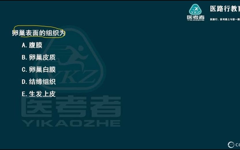 医路行2023年临床妇产科学12(女性生殖系统解剖)哔哩哔哩bilibili