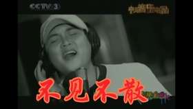 Sweety 勇敢的幸福 绿光森林 哔哩哔哩 つロ干杯 Bilibili