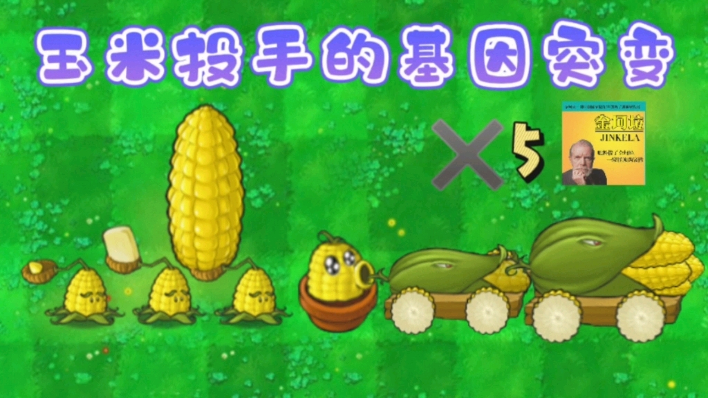 玉米投手五阶图片