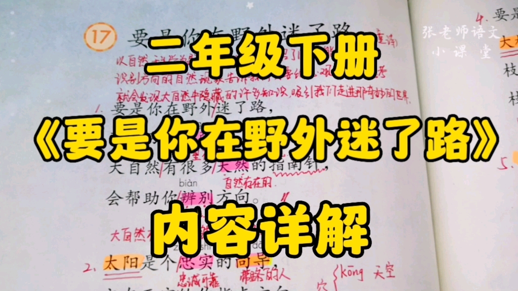 二年级语文下册:《要是你在野外迷了路》你会怎么办呢?有没有天然指南针帮助你辨别方向呢?哔哩哔哩bilibili