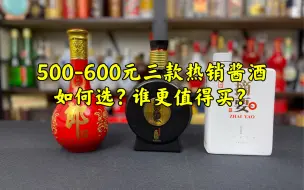 Video herunterladen: 第151期：500-600元三款热销酱酒，如何选？谁更值得买？