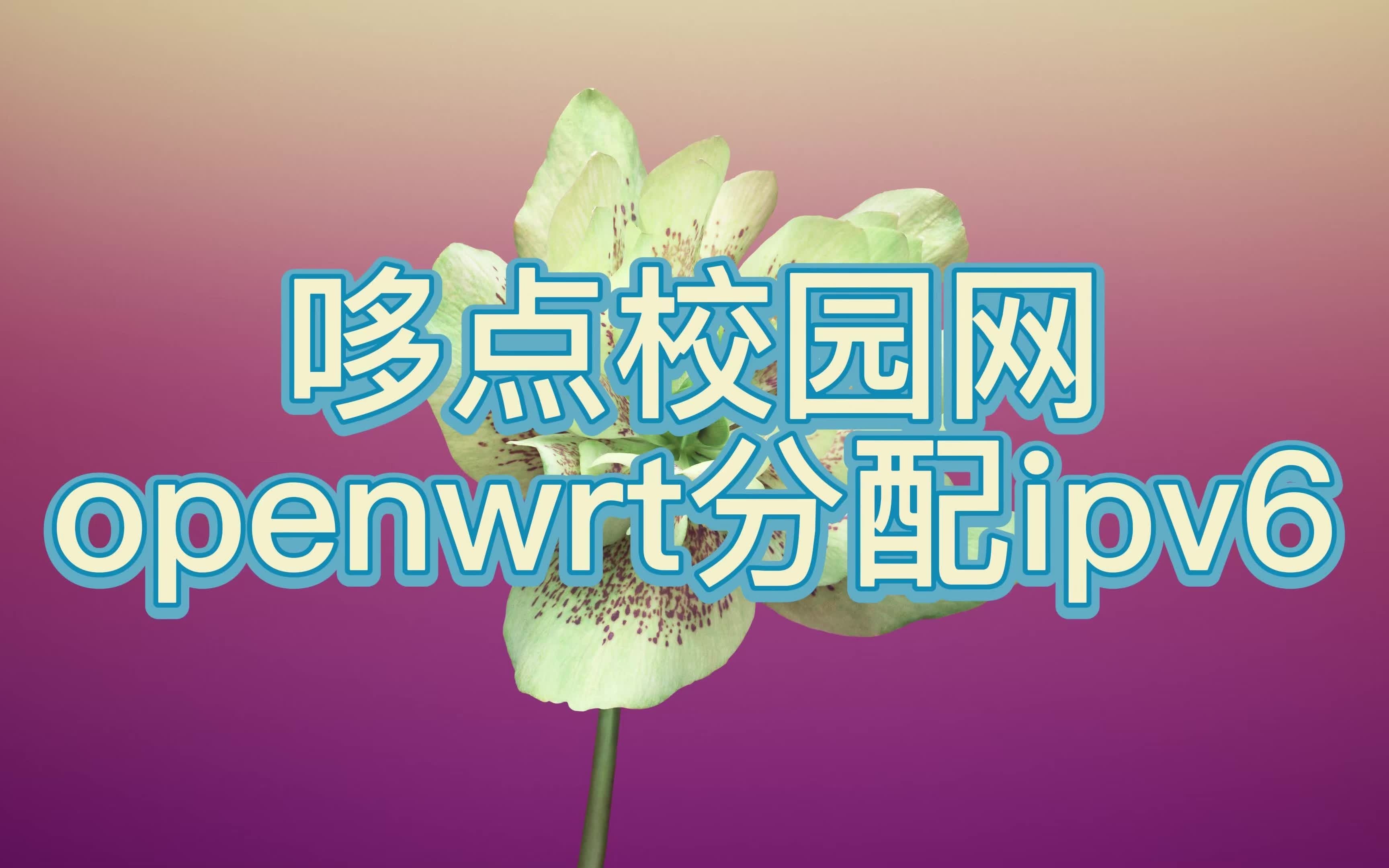 哆点校园网openwrt分配ipv6的相关设置哔哩哔哩bilibili