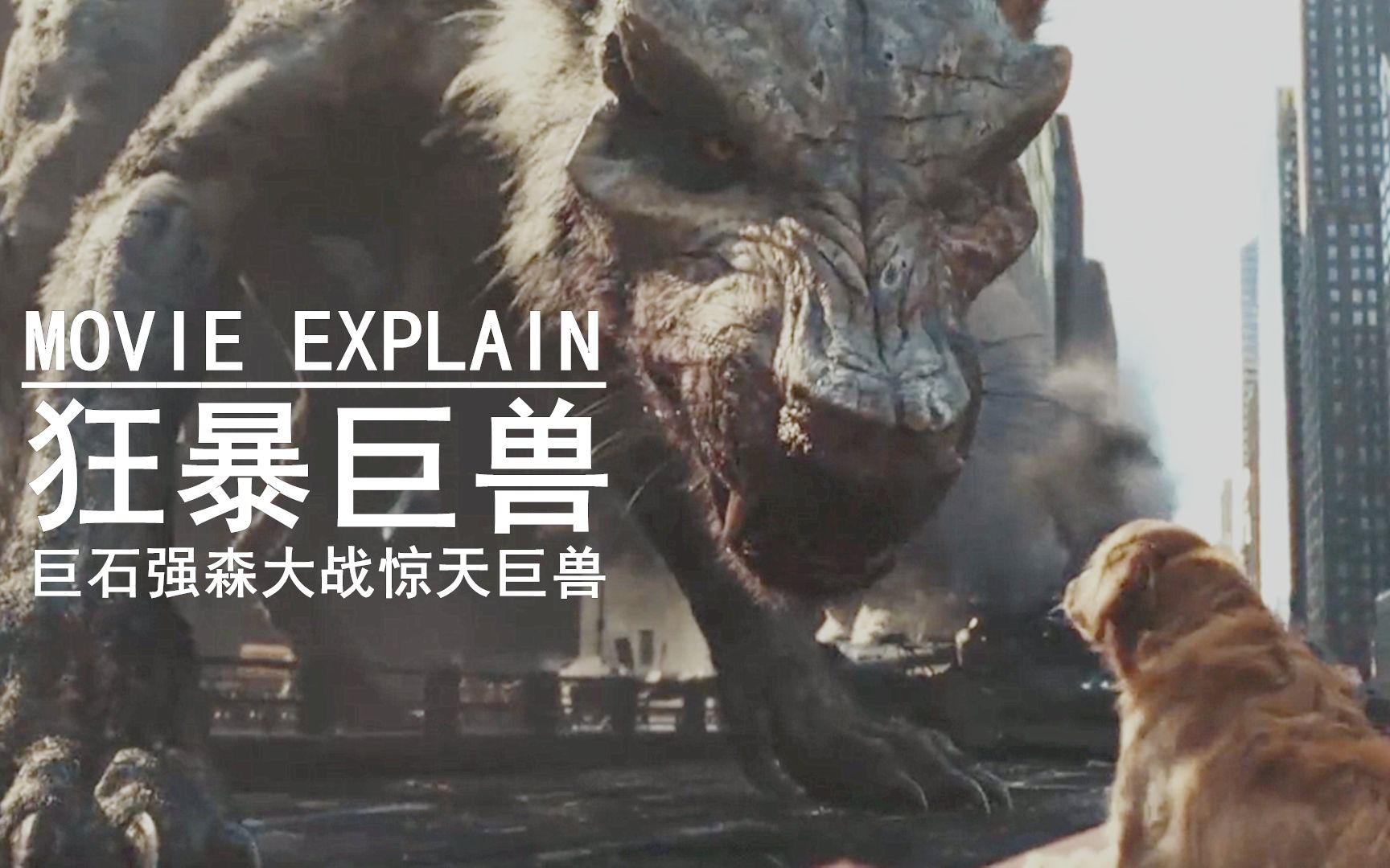 三只动物的基因被变异一夜就长成了狂暴巨兽组团毁灭城市