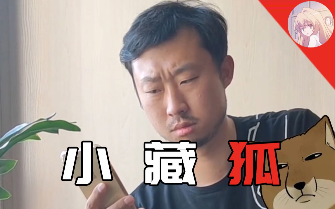 【小亮】73小 藏狐73_哔哩哔哩_bilibili