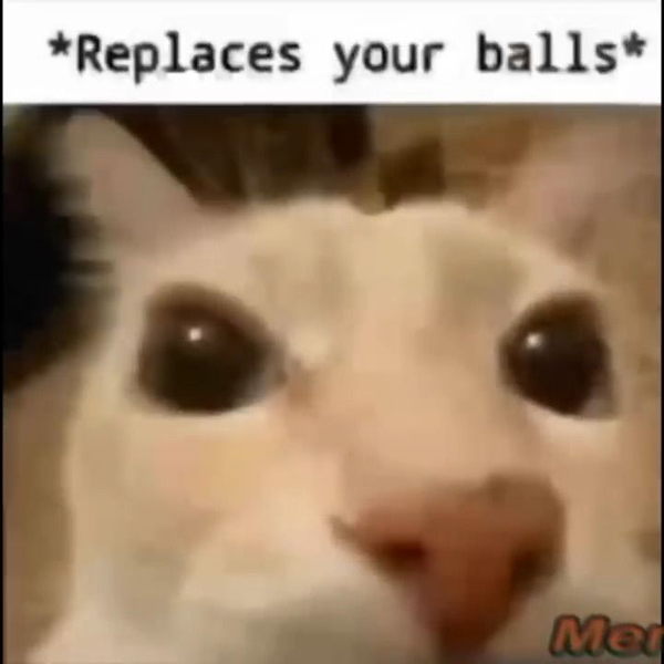 memes that if ylyl v51 