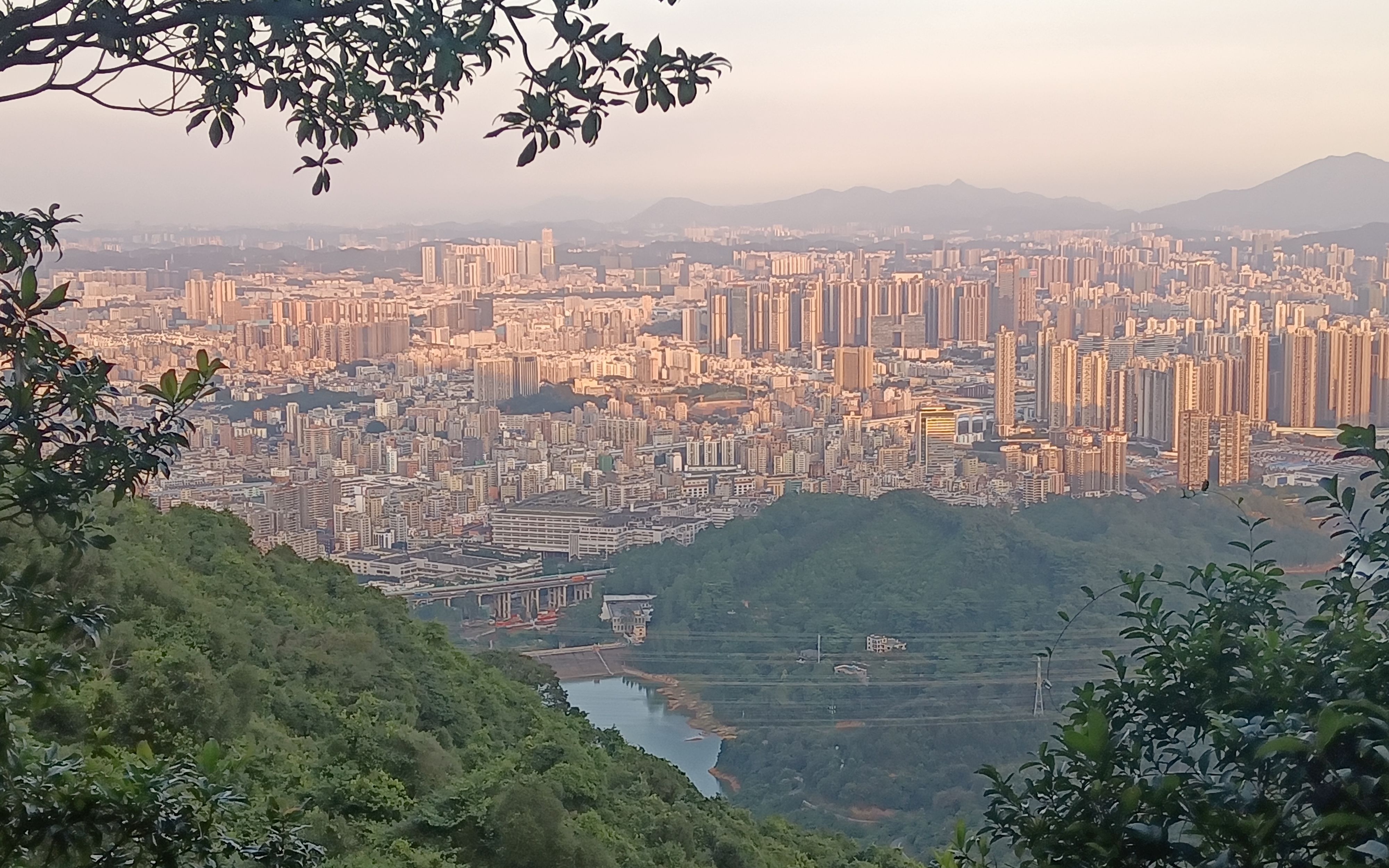 假期登羊台山,俯瞰龙华区,深圳高楼林立
