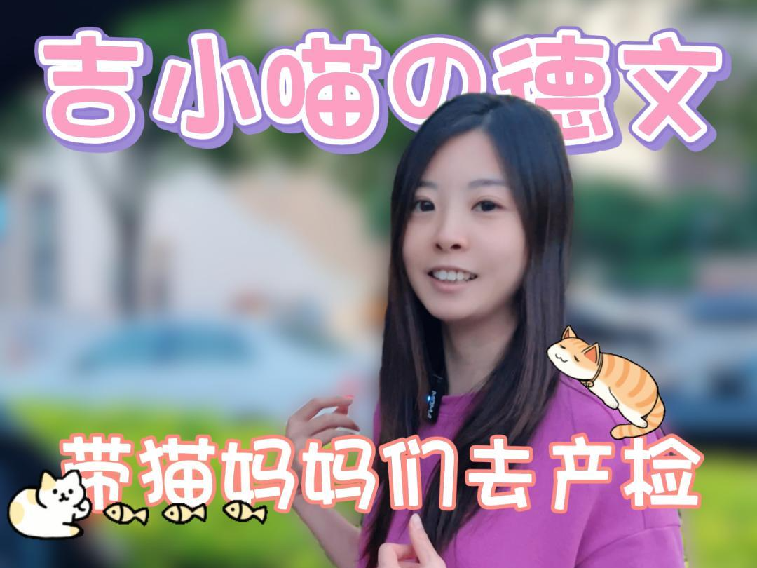 带三只大肚猫妈产检啦