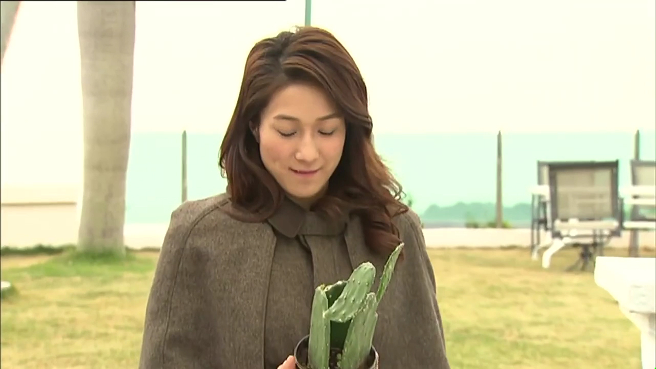 【乔子琳&许玮琛】【钟嘉欣&黄宗泽】太太太太太喜欢这一对了