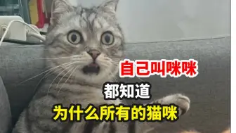 Download Video: 为什么所有的猫咪都知道自己叫咪咪？