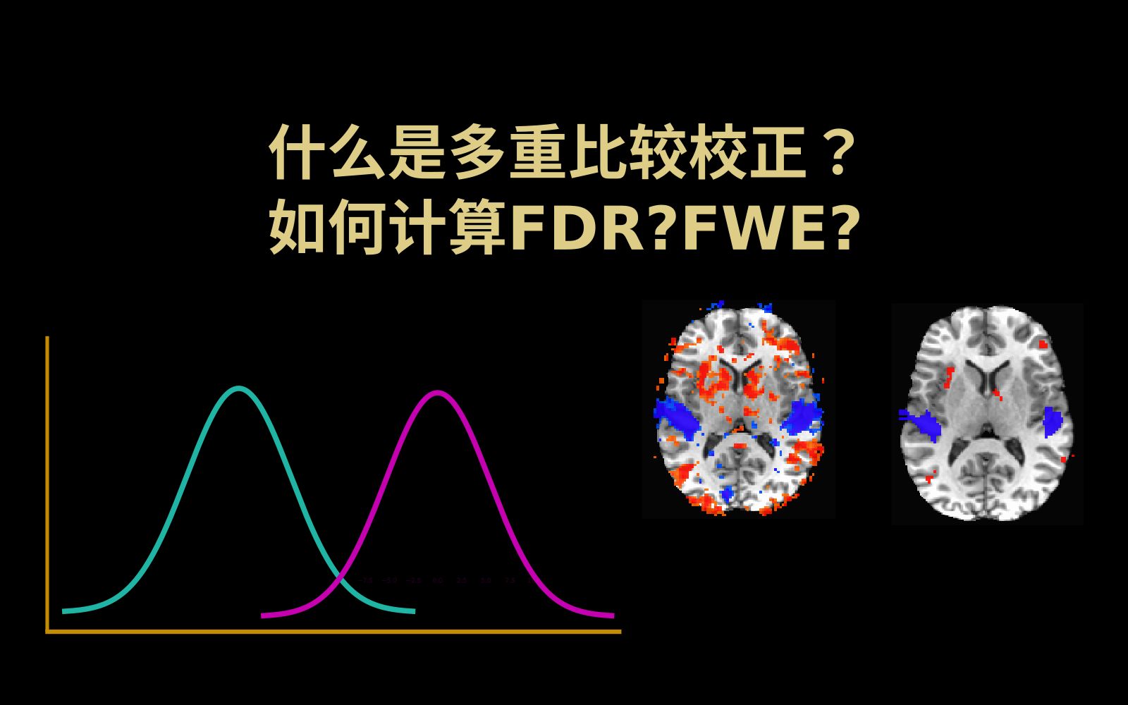 fMRI小知识:什么是多重比较校正?怎么计算FDR,FWE?一条死鱼的脑激活哔哩哔哩bilibili