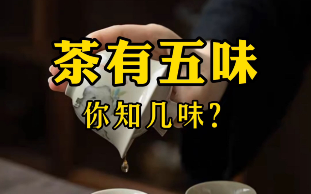 茶有五味,你知几味?哔哩哔哩bilibili