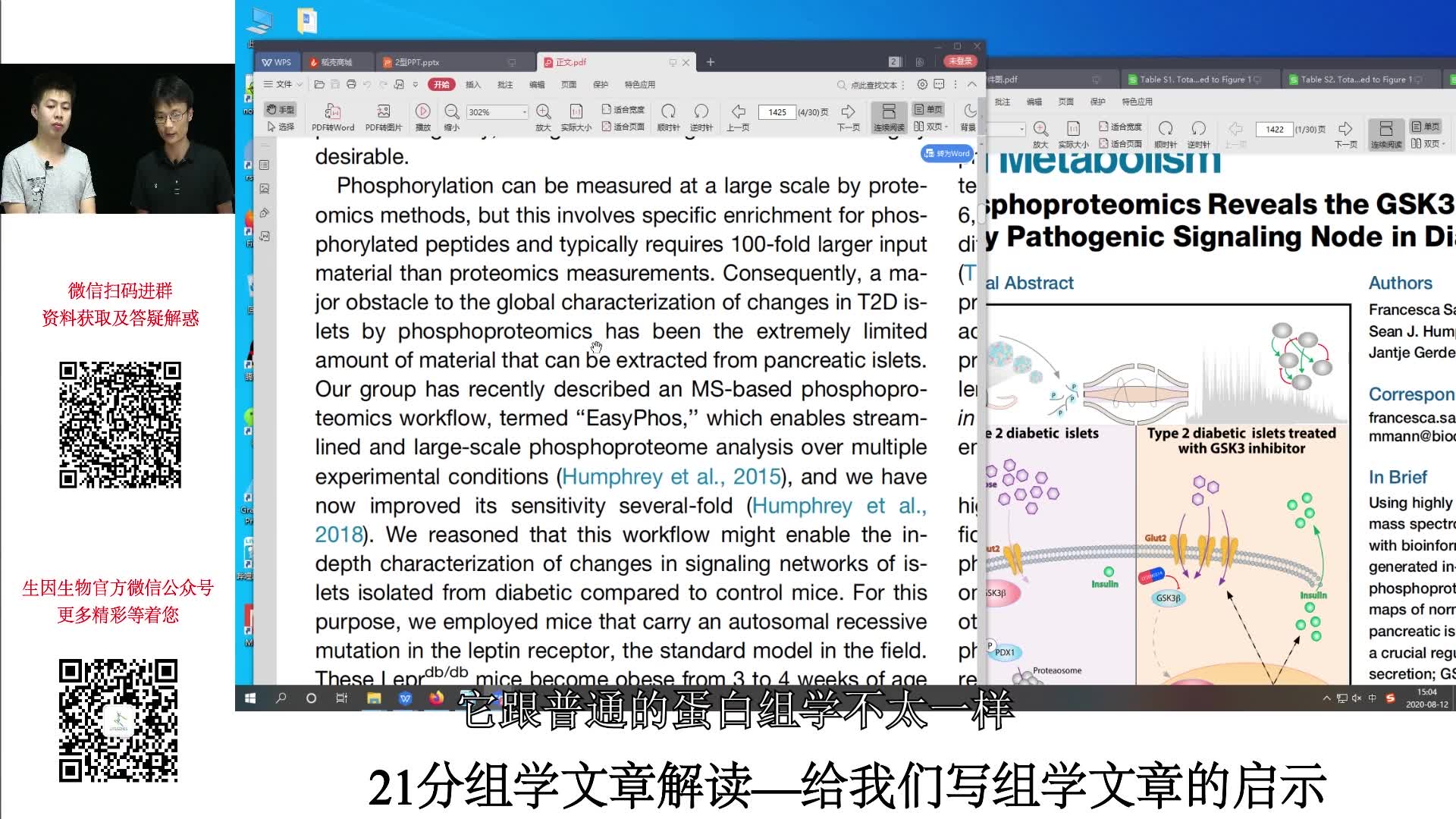 21分组学文章解读给我们写组学文章的启示蛋白磷酸化哔哩哔哩bilibili