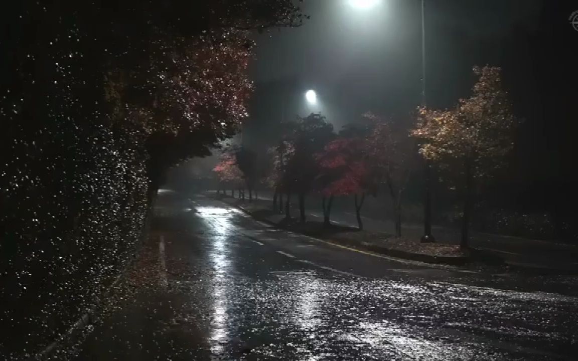 [图]下着雨的街道空无一人，只听得雨声滴答