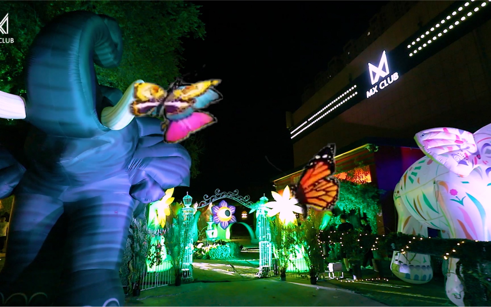 mx焦作颠覆 传统 酣畅淋漓丛林派对和你狂欢不止the future is now