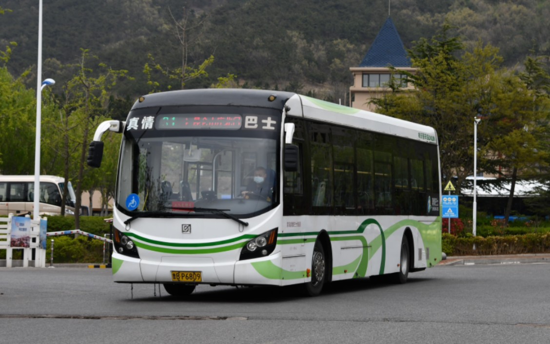 【纯净行走音】车龄11年的申沃洋葱头公交车,原厂上海绿飘带涂装!
