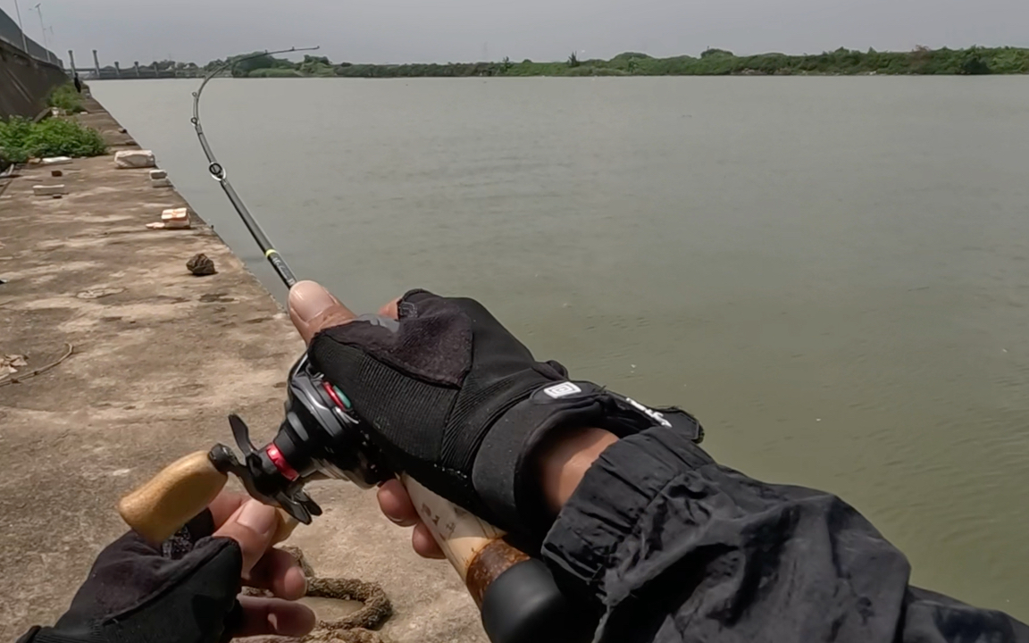 路亚?鱼怎么可能吃铁片?