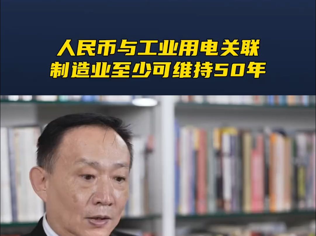 卢麒元 人民币与工业用电形成关联,制造业至少维持50年#宏观经济哔哩哔哩bilibili