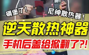 Download Video: 这散热器也太逆天了吧？！