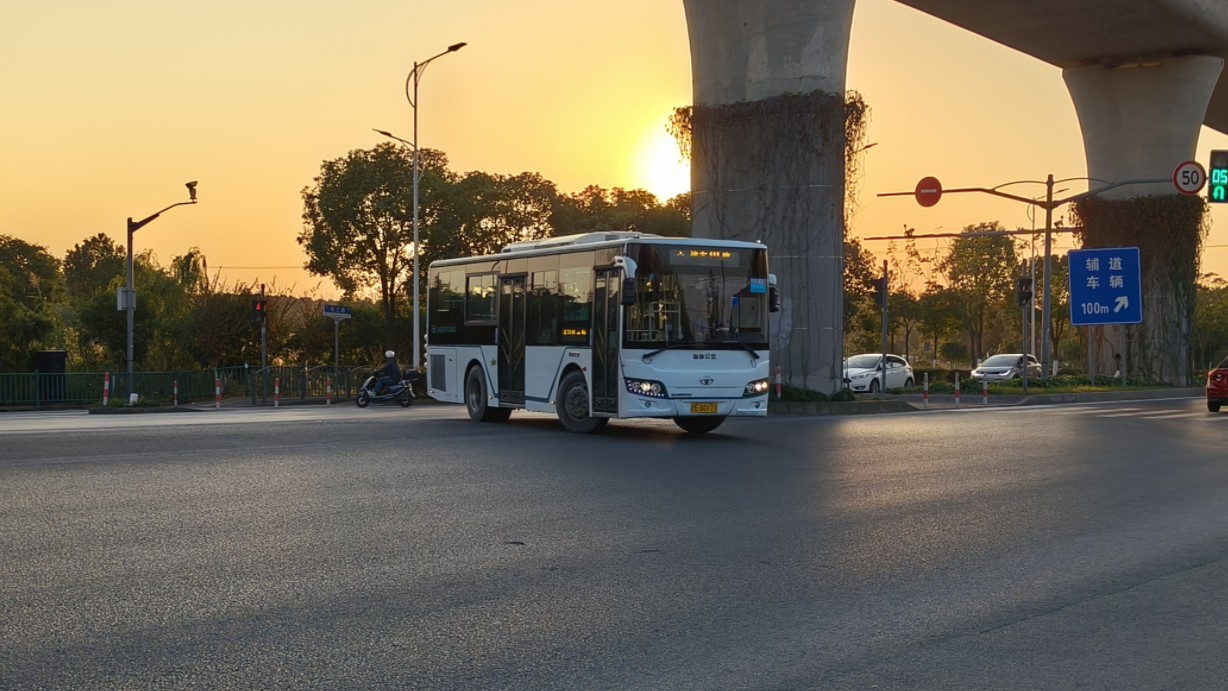 浦东111路 sxc6891g5 东海农场》野生动物园地铁站