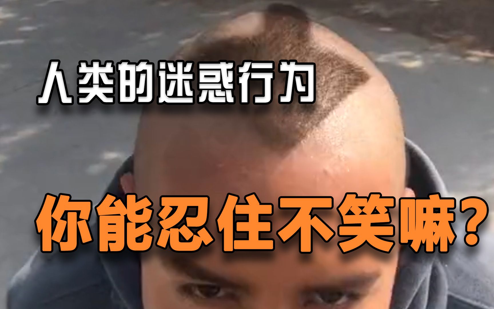 "沙雕人类们的迷惑行为"