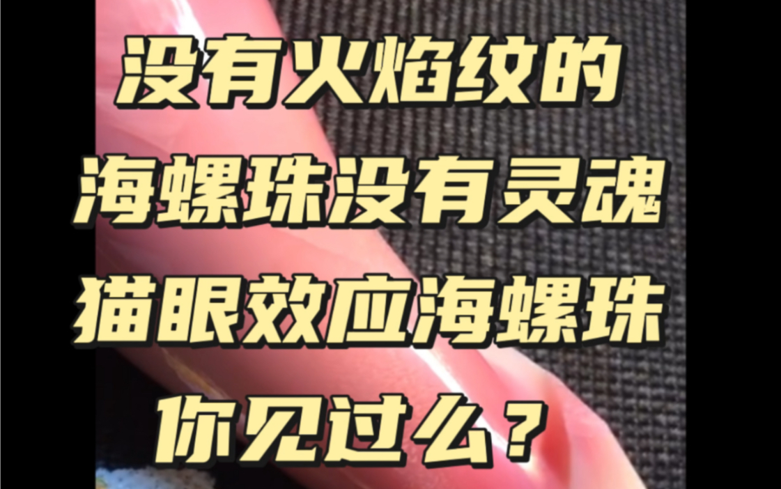 没有火焰纹的海螺珠没有灵魂没有颜色的海螺珠失去了肉身甚至是实验室内养殖的海螺珠也是大多没有颜色没有火焰纹#海螺珠[话题]# #女王凤尾螺[话题]#...