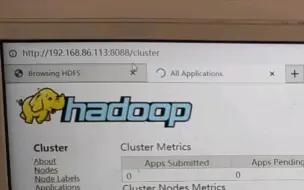 Download Video: 再也不想看到hadoop