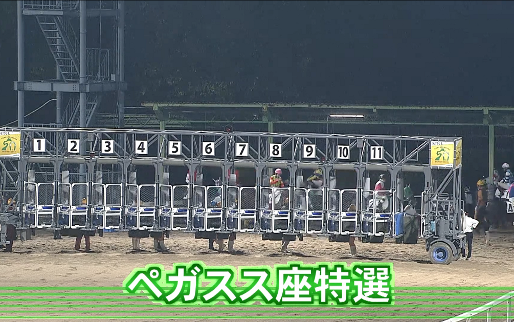 [图]【佐贺赛马】10R 飞马座特选-华丽白光(3号3着) 2022.10.16