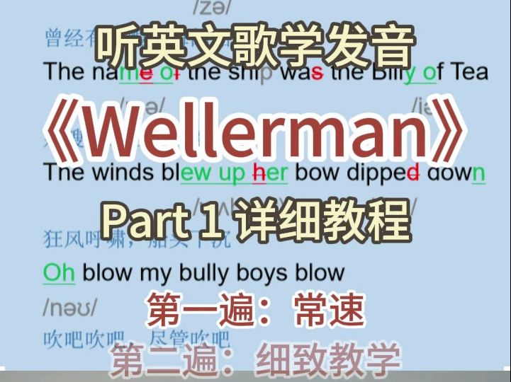 Wellerman 细致教学 讲解+跟练哔哩哔哩bilibili