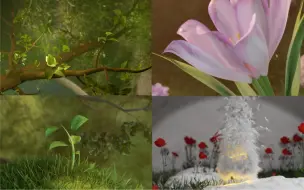 Download Video: (blender动画练习）植物生长 | 郁金香开花 | 几何节点 | 教程预告