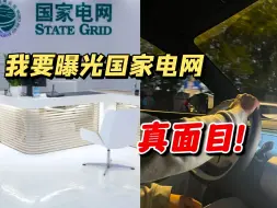 Video herunterladen: 00后入职国网现状略惨，但仍不建议离职.....