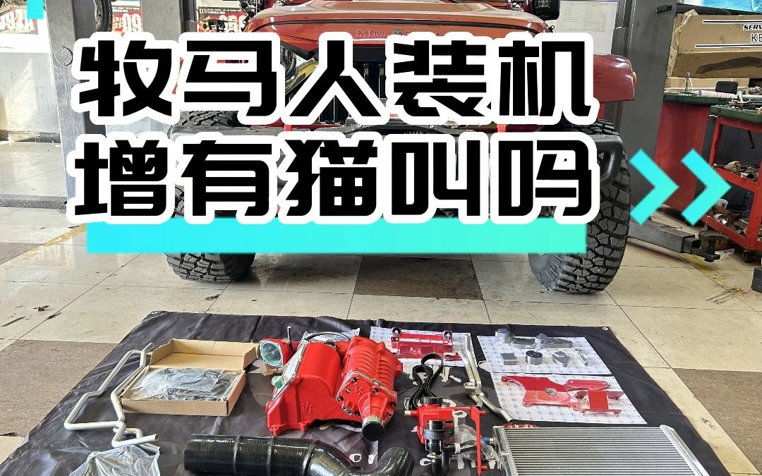 因其独特的结构特性,机械增压有类似猫叫的进气声音