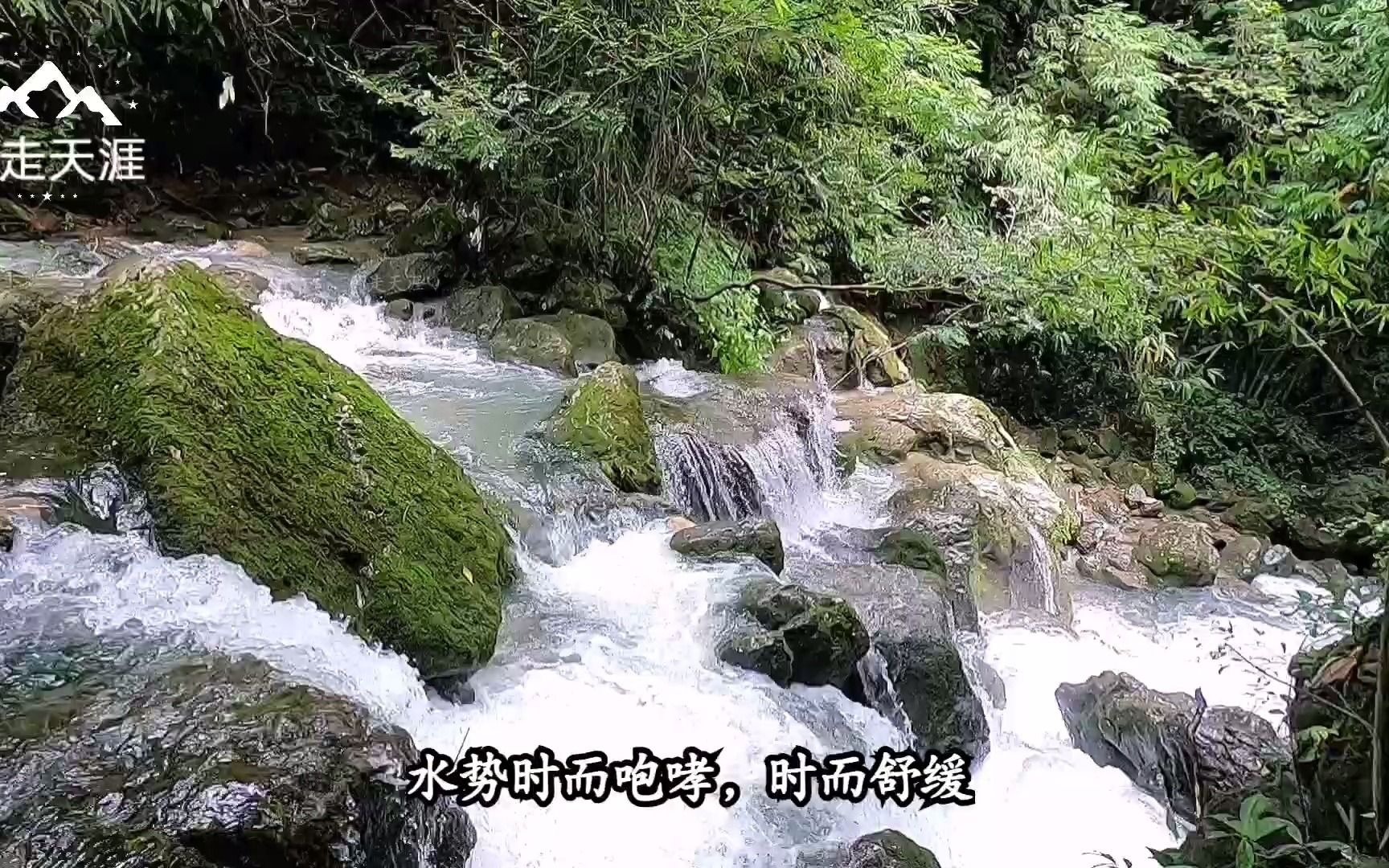 [图]这处山溪流水带风，沟口待一会就觉得凉气逼人，夏天纳凉的好地方