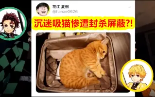 猫bot 搜索结果 哔哩哔哩弹幕视频网 つロ乾杯 Bilibili