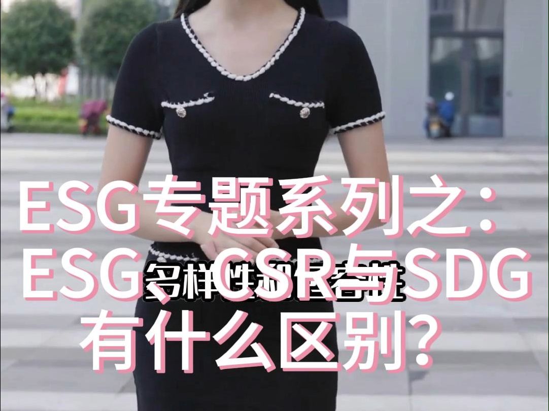 ESG系列之一:什么是ESG?ESG与CSR、SDG有什么区别?哔哩哔哩bilibili