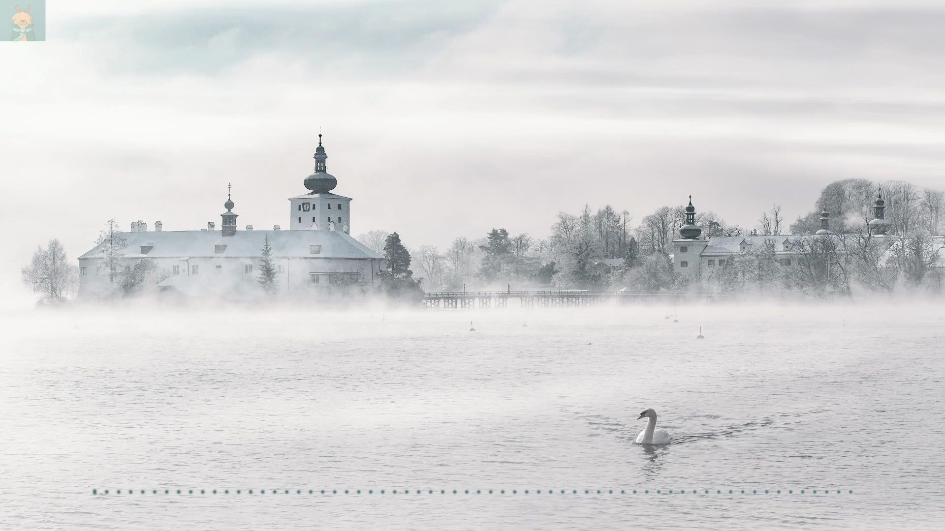 fairytales, fables & folktales -- the wild swans | 英文故事