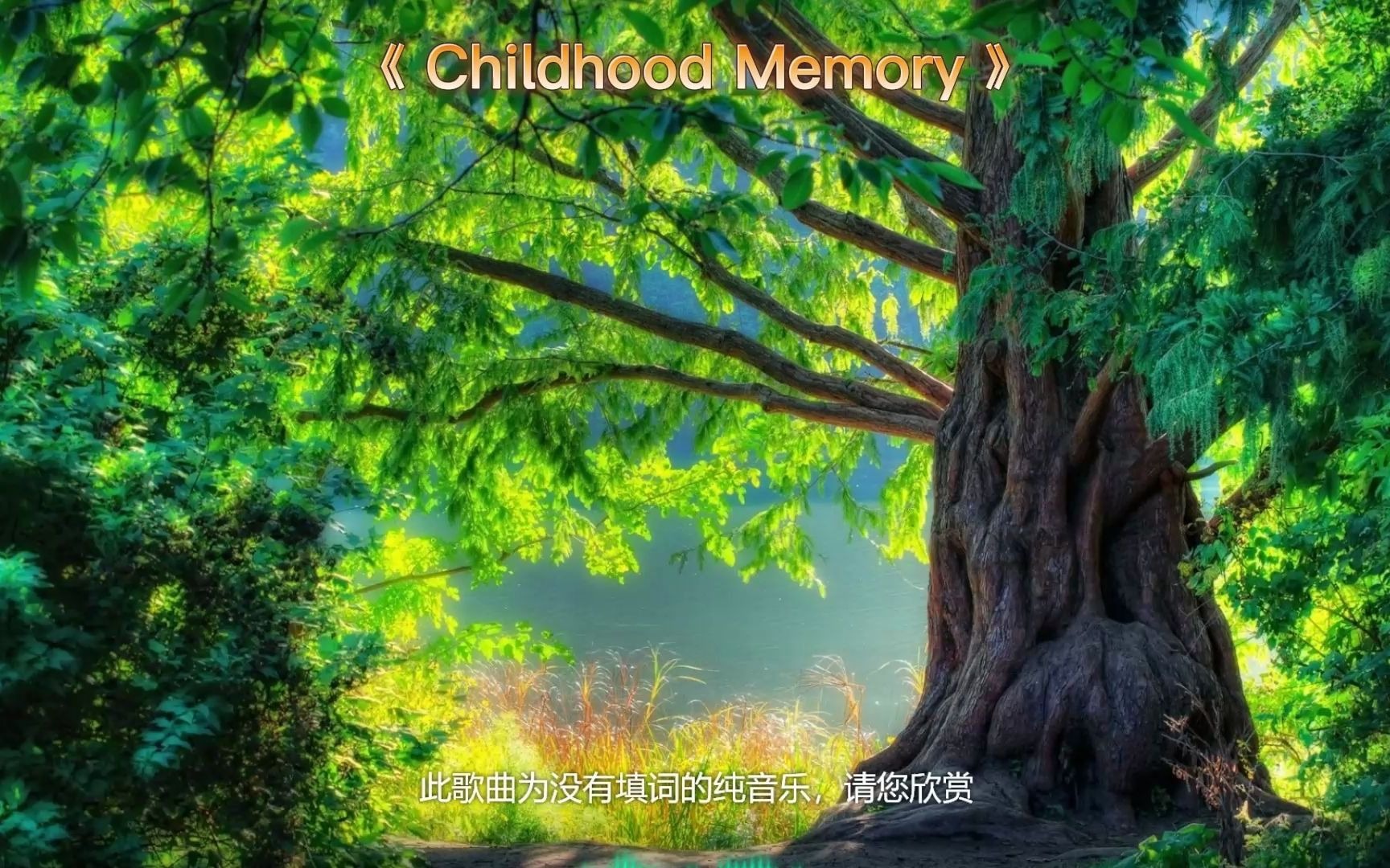 [图]经典音乐《童年记忆》 Childhood Memory