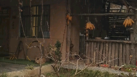 淅淅沥沥的雨夹雪哔哩哔哩bilibili