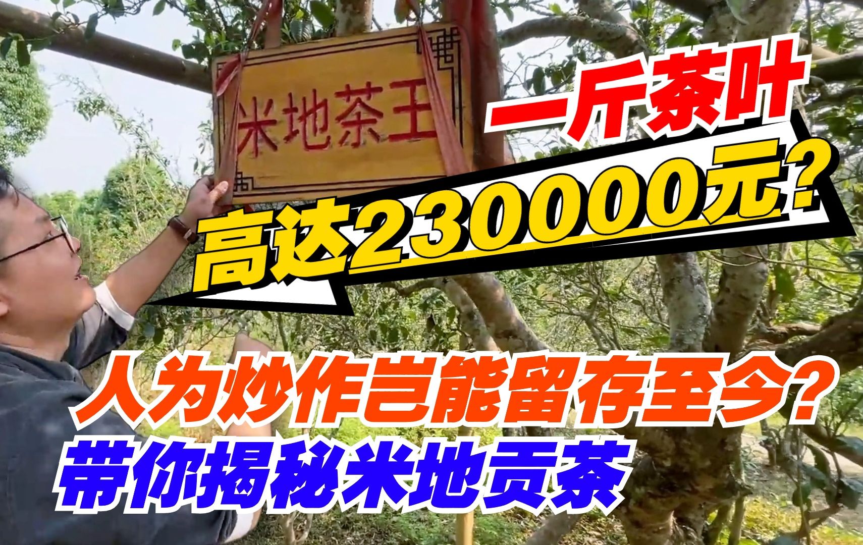 一斤茶叶高达230000元?人为炒作岂能留存至今?带你揭秘米地贡茶哔哩哔哩bilibili