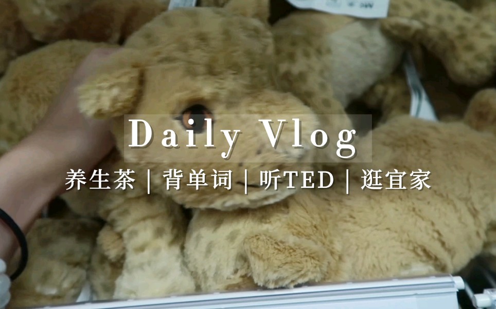 Daily vlog | 玫瑰山楂红枣茶 | 背单词打卡 | 听TED | 逛宜家哔哩哔哩bilibili