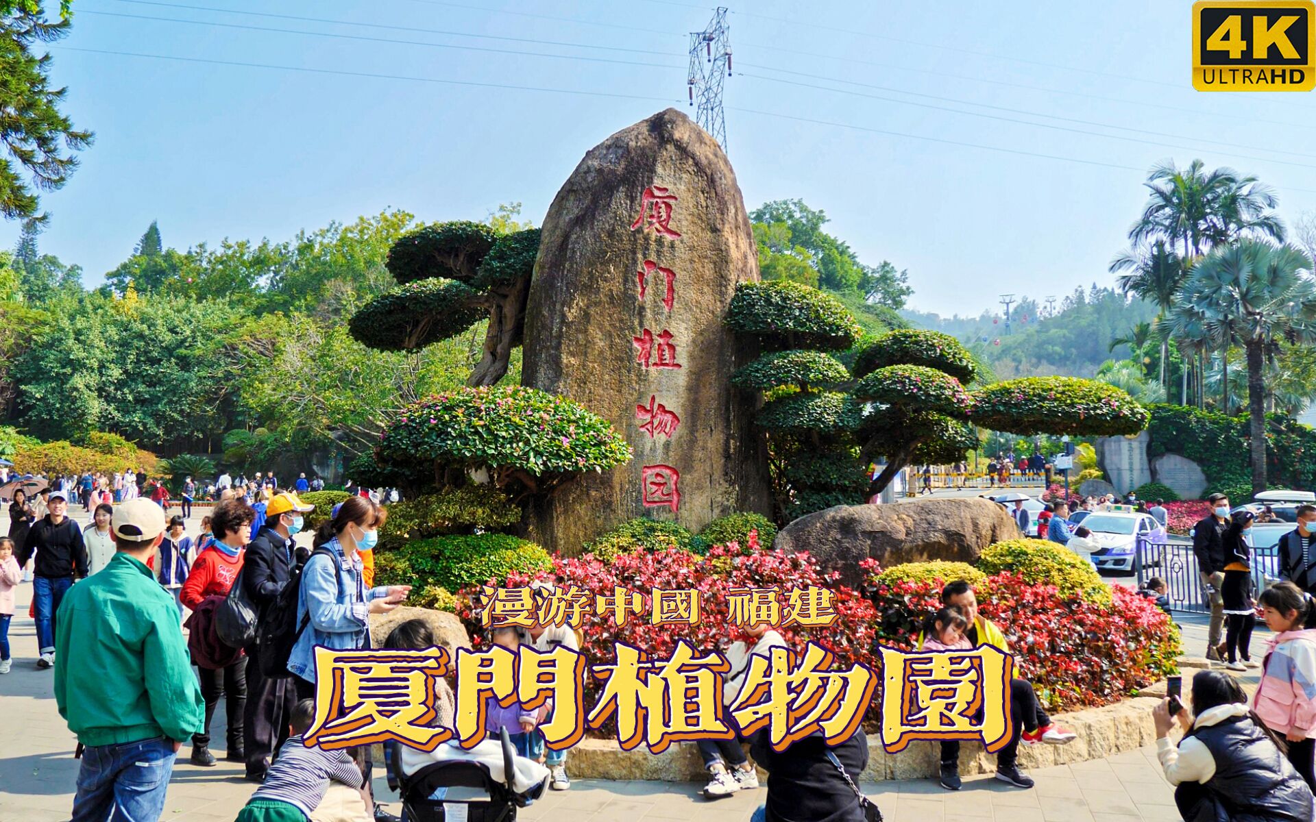 踏春正当时,漫步厦门植物园 | 漫游中国 | 厦门植物园 | 福建 厦门 | 旅行 云旅行 沉浸式 徒步 POV 白噪音 4K60哔哩哔哩bilibili