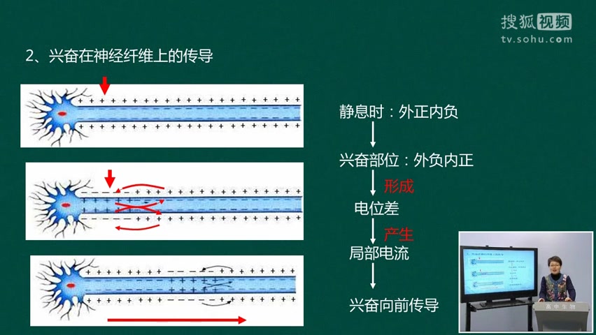 动物生命活动的调节 专题(来源:学科网)哔哩哔哩bilibili