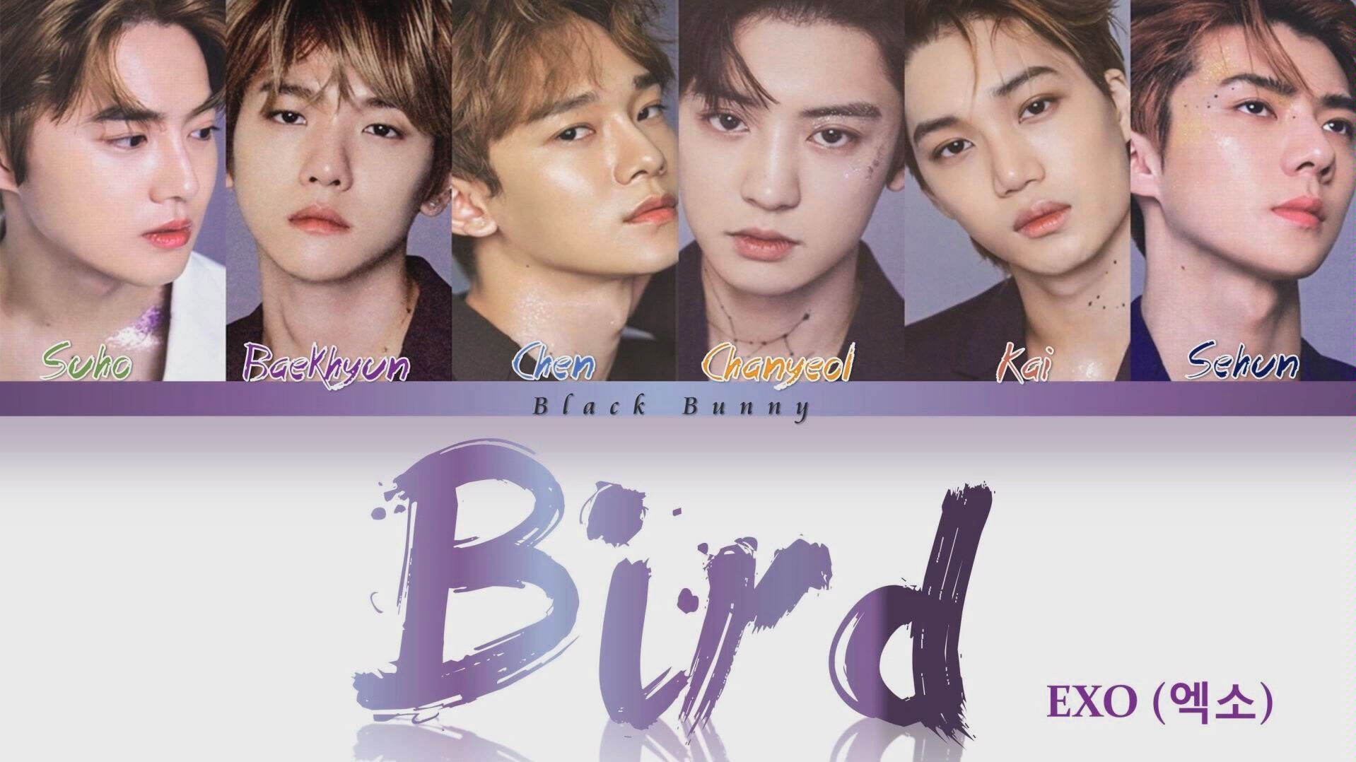 [图][EXO]日本最新单曲《BIRD》歌词完整版