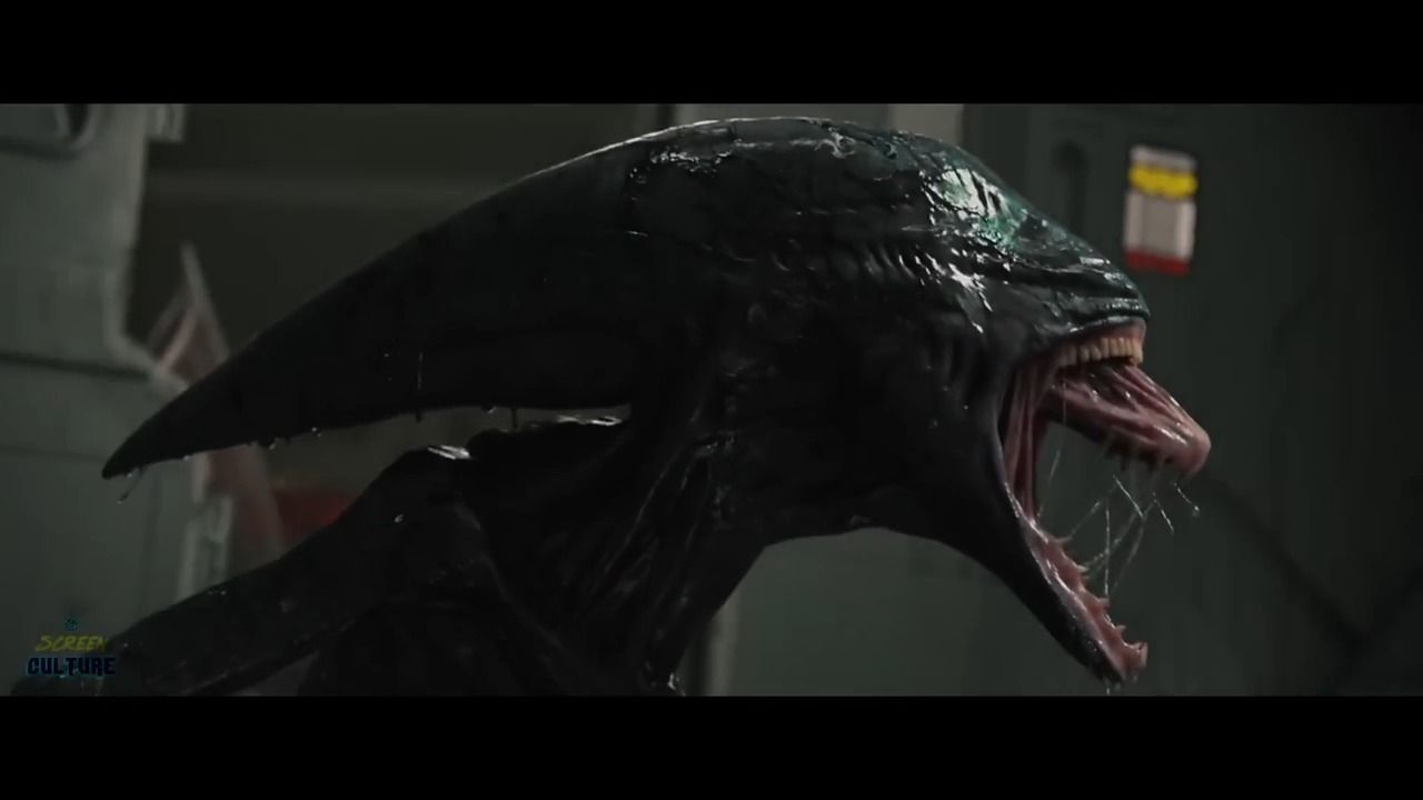 科幻恐怖片《异形:罗慕路斯》预告 8.