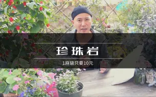 Download Video: 珍珠岩1麻袋10元钱，教大家如何买到便宜的珍珠岩