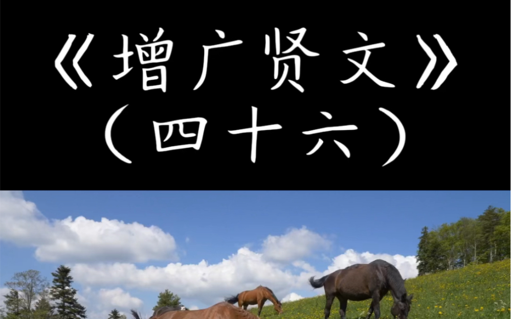 《增广贤文》公道自在人心