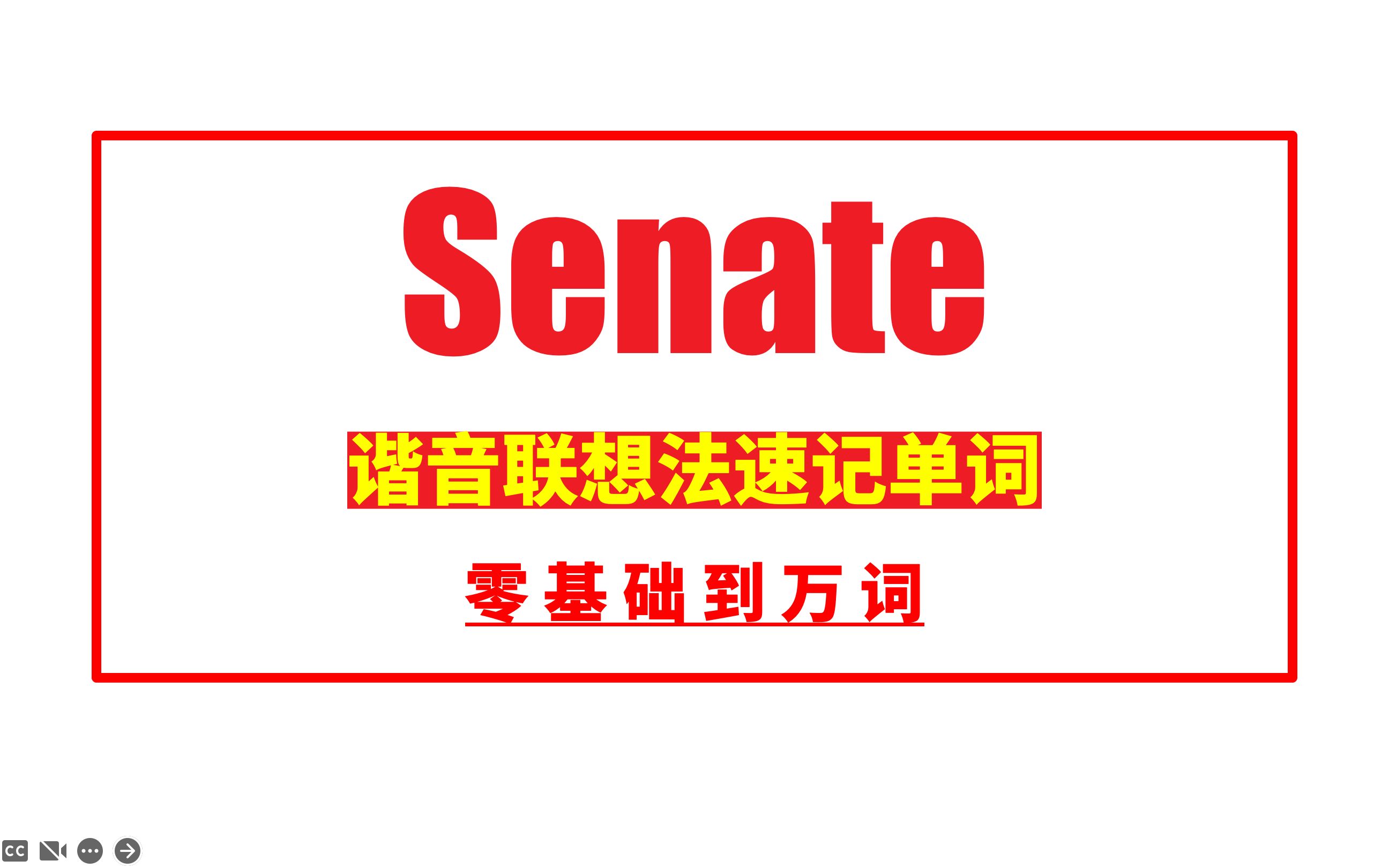 秒记单词:Senate哔哩哔哩bilibili