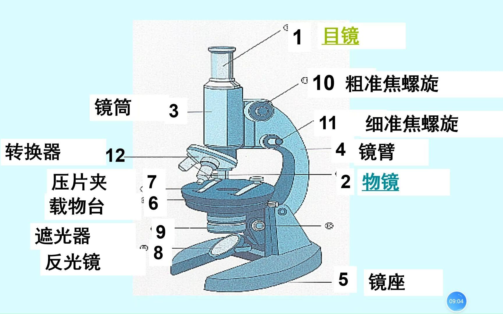 [图]细胞的多样性和统一性（第一课时）